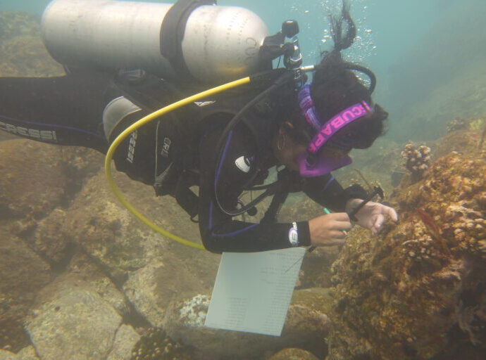 In Mexico, scientists race to save Marietas Islands’ corals from ocean warming