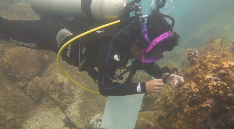 In Mexico, scientists race to save Marietas Islands’ corals from ocean warming