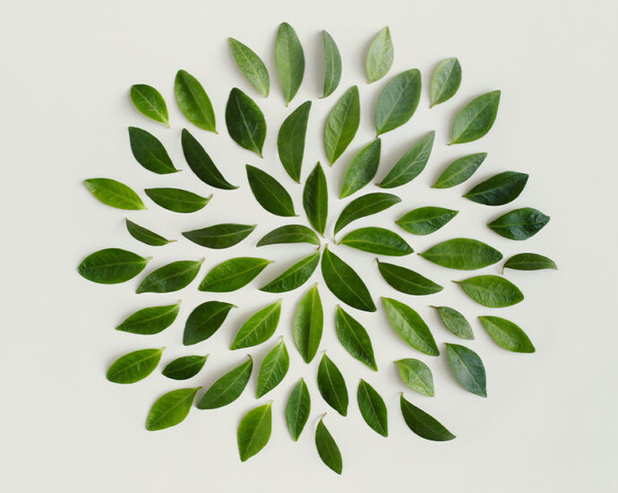 5 Steps to Build a Climate-Literate Workforce