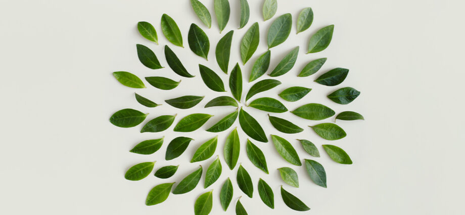 5 Steps to Build a Climate-Literate Workforce