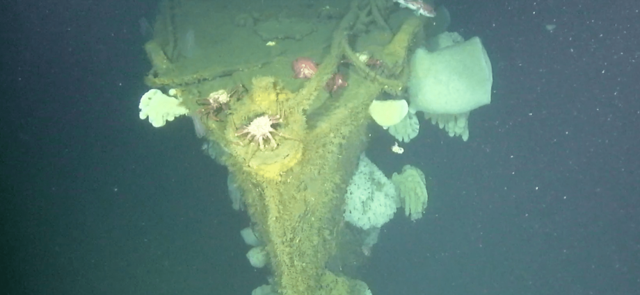 ‘Ghost Ship of the Pacific’ rediscovered with underwater drones