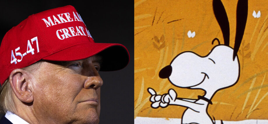 Snoopy fans angered by one account’s pro-Trump post