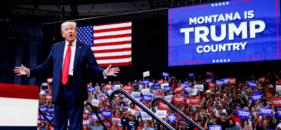 Why Trump voters are poised to swing the Senate majority: From the Politics Desk