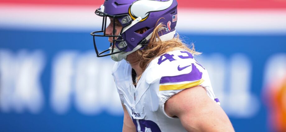 Andrew Van Ginkel Is Already Reaching Cult Hero Status