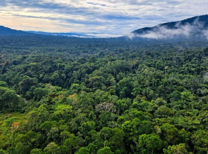 In Costa Rica, sustainable tourism is no longer enough for conservation