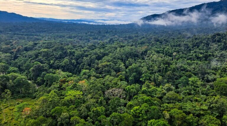 In Costa Rica, sustainable tourism is no longer enough for conservation