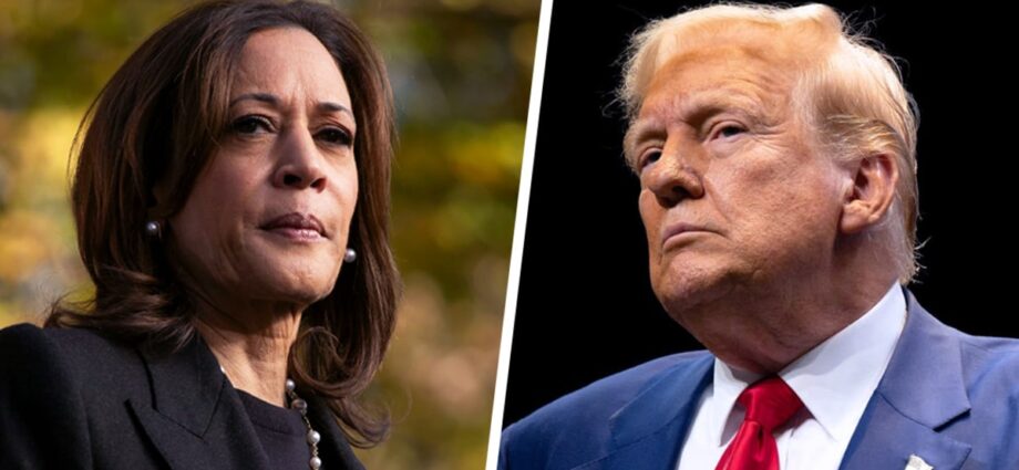 7 key forces shaping the final days of the election: From the Politics Desk