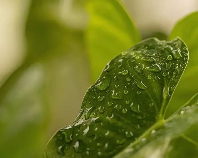 FairMoove strengthens its commitment with the acquisition of We Go GreenR and FiG