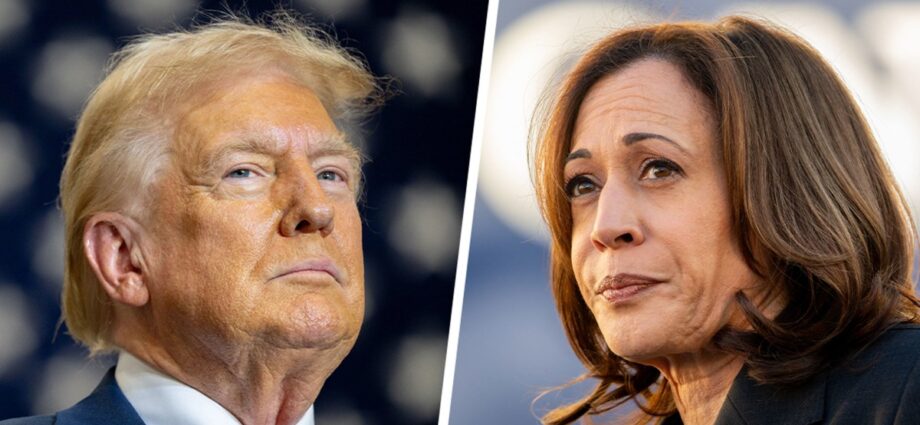 Breaking down the the yawning gender gap dividing Gen Z: From the Politics Desk