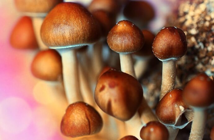 Will Psychedelics Break the Major Depression Logjam?