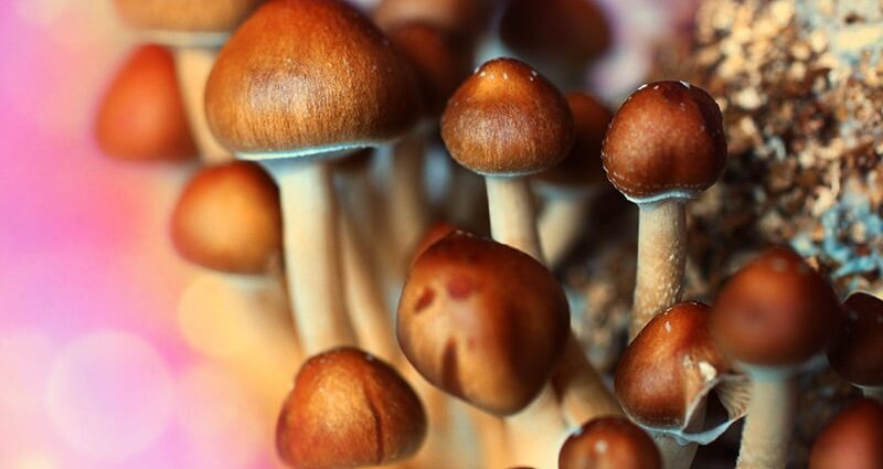 Will Psychedelics Break the Major Depression Logjam?