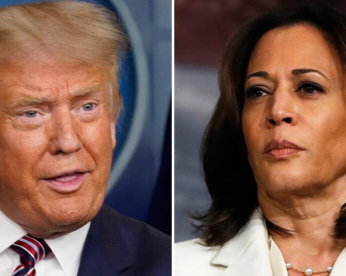 America reaches the campaign’s final weekend with the same divide over Trump that has roiled politics for a decade