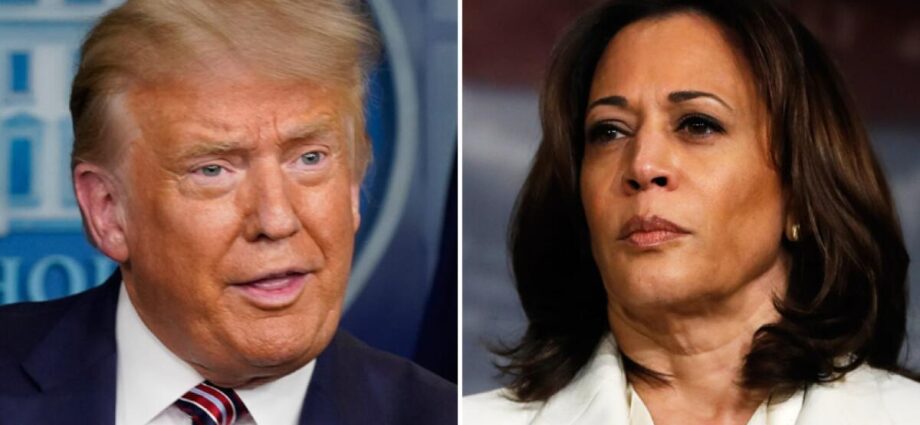 America reaches the campaign’s final weekend with the same divide over Trump that has roiled politics for a decade