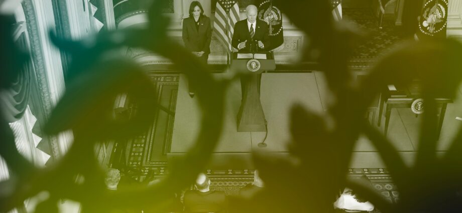 Donald Trump’s Victory and the Politics of Inflation