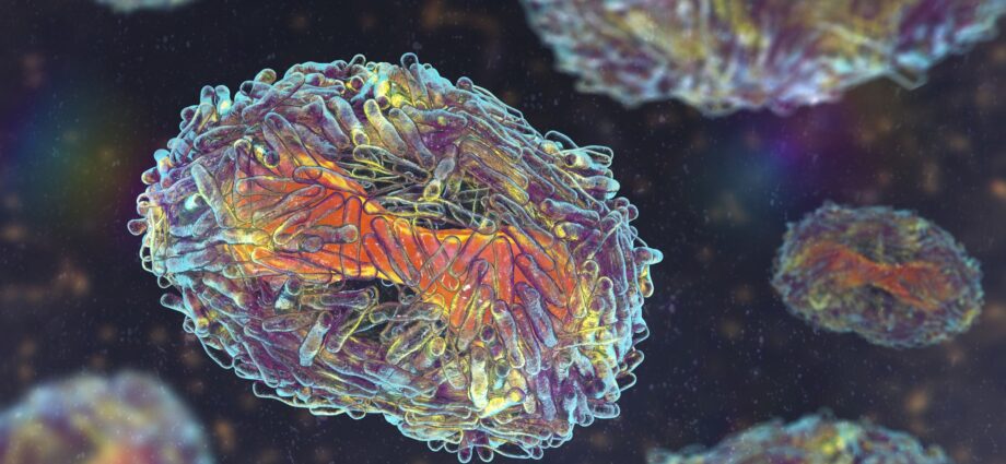 Monkeypox Has the Potential to Mutate and Resist Antiviral Treatment, FDA Warns