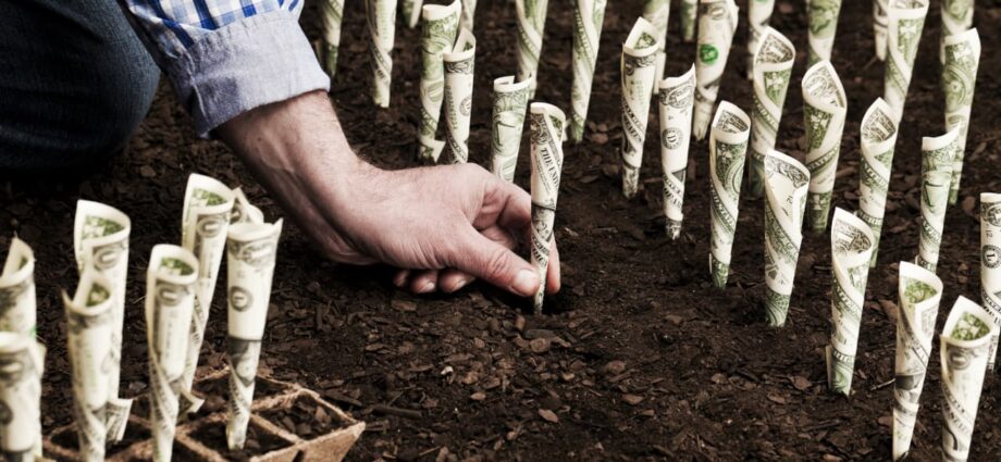 Climate change won’t fix itself, so here are 3 easy steps to ‘green’ your money