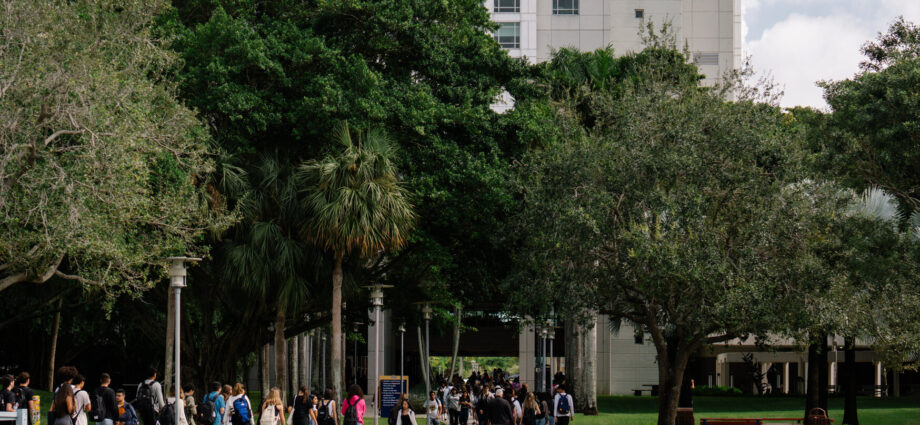 Florida Tries a Subtler Way to Curb Progressive Ideology: Cut Sociology