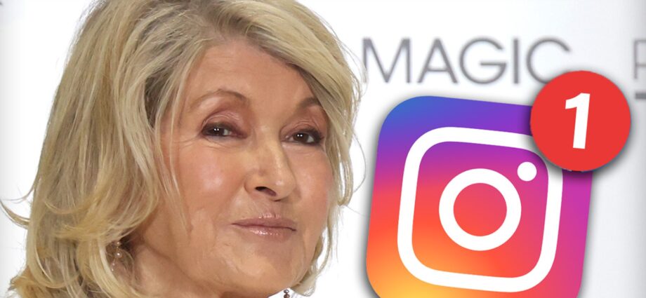 Martha Stewart Admits She Doesn’t Know How to Access DMs on Social Media