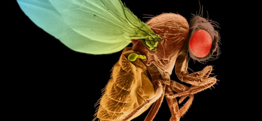 6 watershed moments in science from 2024 that will shape the future