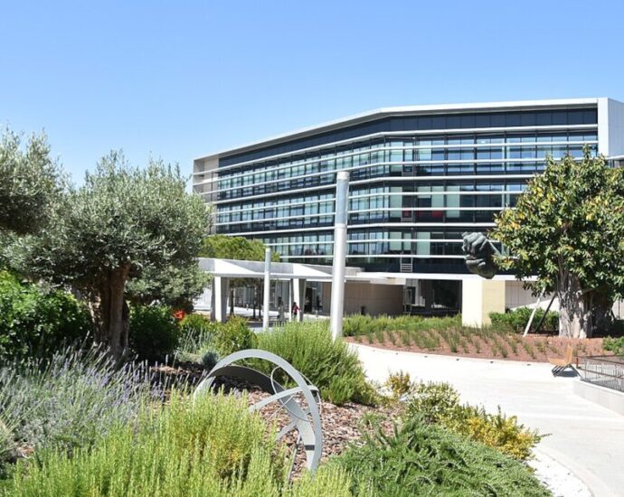 Is Online Piracy Flattening? New EU Study Reveals 2023 Data — Including Country-Specific Stats