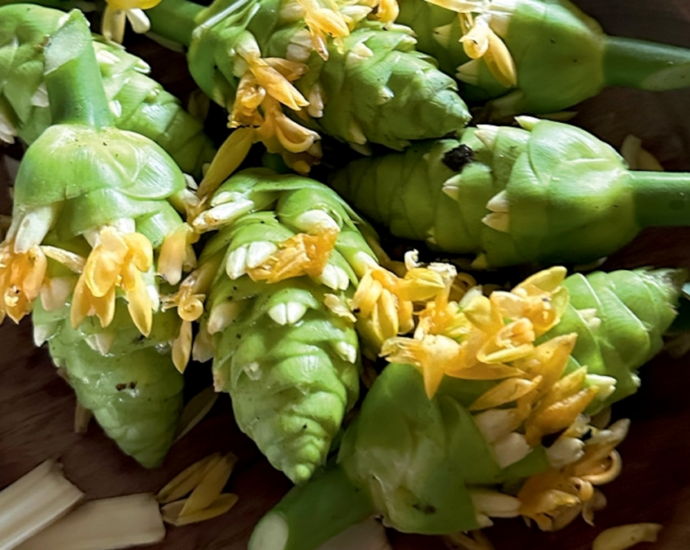 How this guide is preserving Maya culture through food