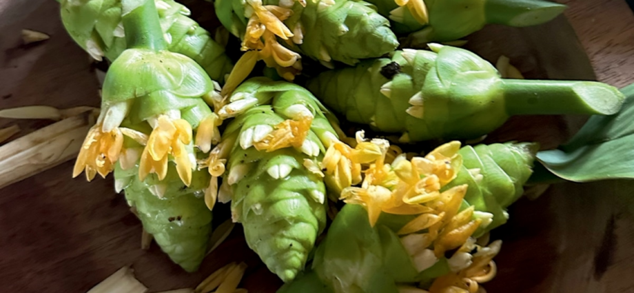 How this guide is preserving Maya culture through food