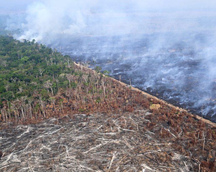 Amid Devastation in the Amazon, Diamonds Were Their Best Hope
