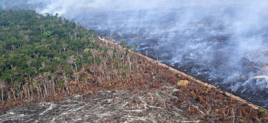 Amid Devastation in the Amazon, Diamonds Were Their Best Hope