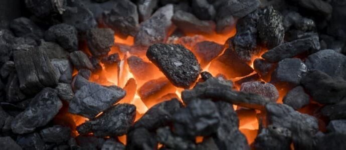 Can Coal Ash Solve the Rare Earth Supply Chain Crisis?