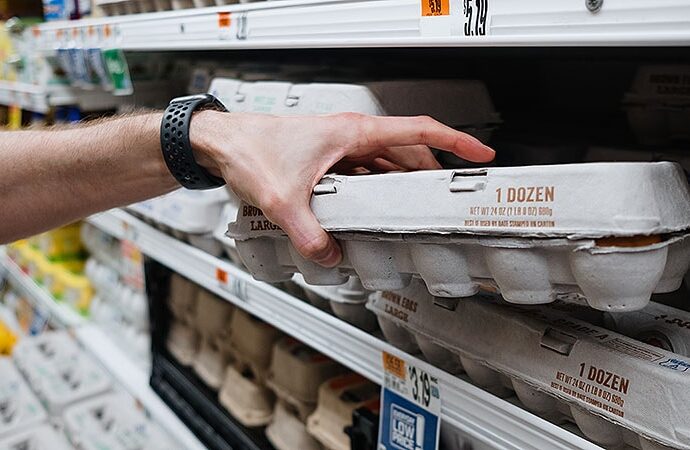 How Bird Flu Spread Unchecked, Posing a Pandemic Risk