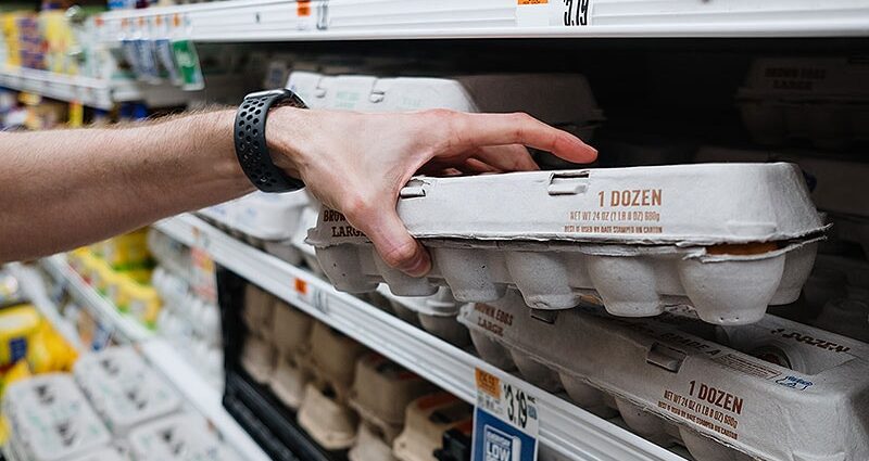 How Bird Flu Spread Unchecked, Posing a Pandemic Risk