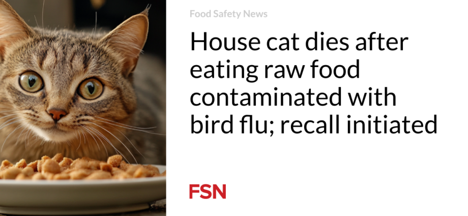 House cat dies after eating raw food contaminated with bird flu; recall initiated