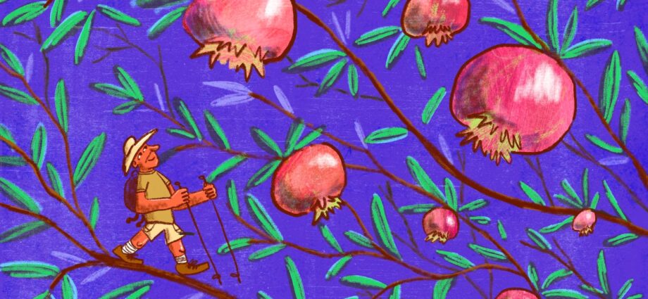 The Man on a Mission to Make Fruit as Big of a Tourism Draw as Wine or Lobster