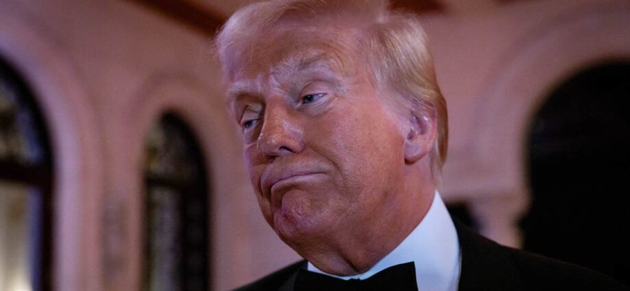 Fox News Fact-Checks Trump on New Orleans Terror Suspect’s Citizenship, Says He Was Born in the US | Video