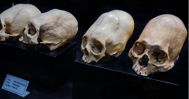 10 Anomalous Fossil Finds That Stumped Scientists