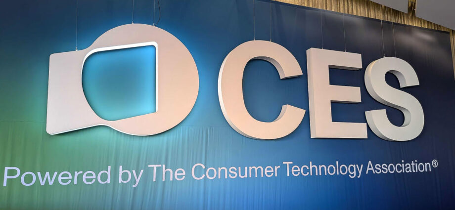 Our unofficial, silly and meaningless CES 2025 awards, just for fun