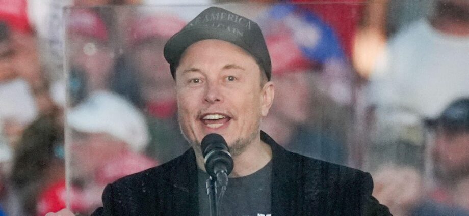 How Elon Musk has become a powerful figure in US politics