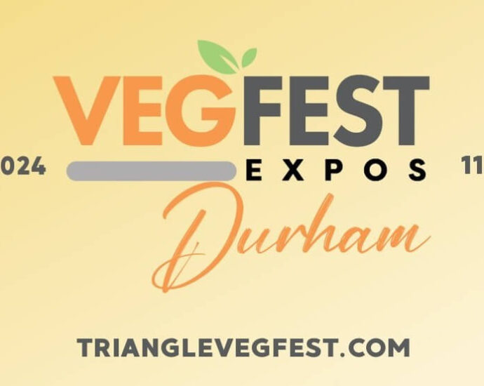 Family Friendly Festival Returns to Durham Central Park