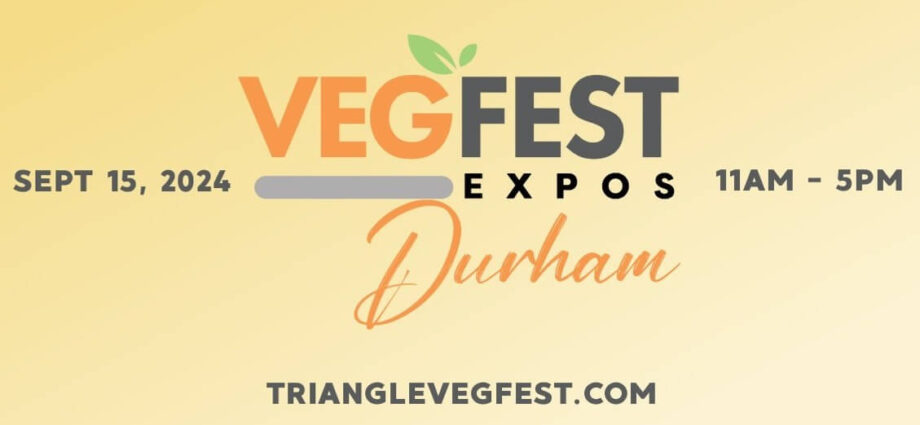 Family Friendly Festival Returns to Durham Central Park