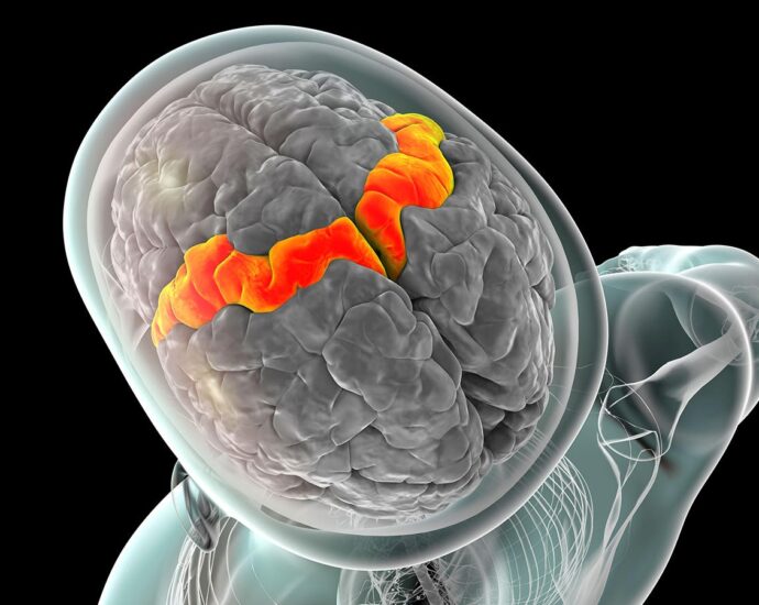 Novel Biomarkers Predict Pain Sensitivity