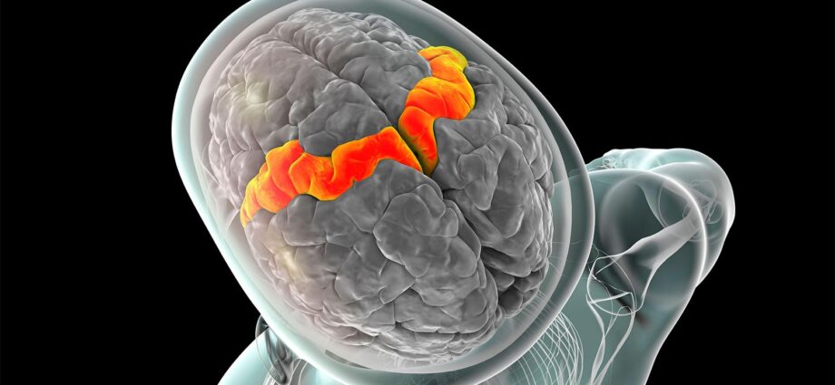 Novel Biomarkers Predict Pain Sensitivity