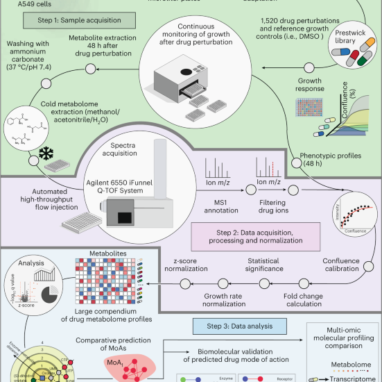 A human metabolic map of pharmacological perturbations reveals drug modes of action