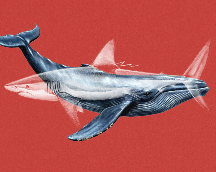 Ad tech hopes open-source AI like DeepSeek will level the playing field with walled garden rivals