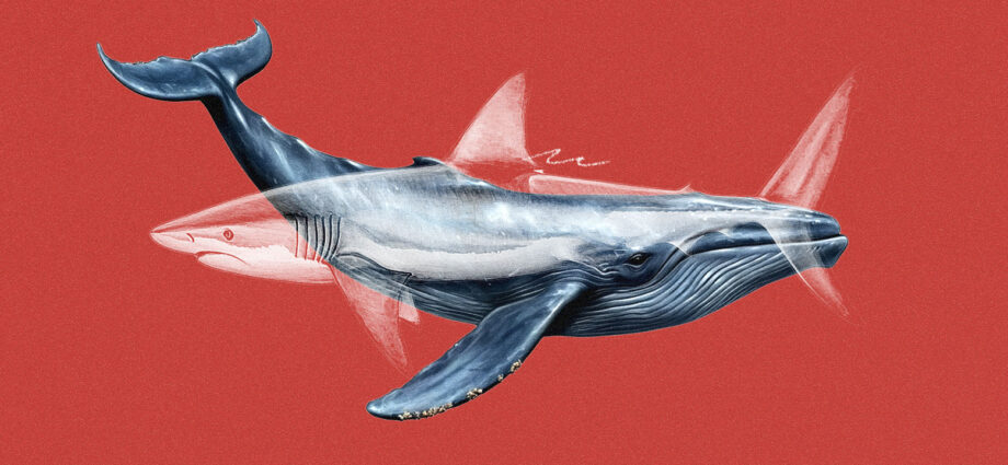 Ad tech hopes open-source AI like DeepSeek will level the playing field with walled garden rivals