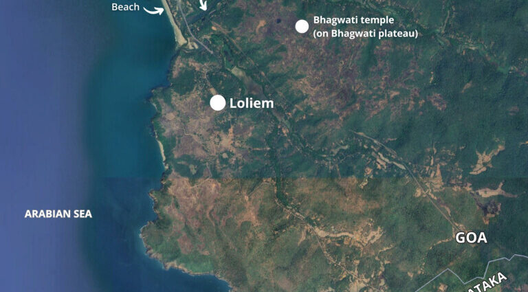 Indian villages seek to protect ecosystem by opting out of state’s development push