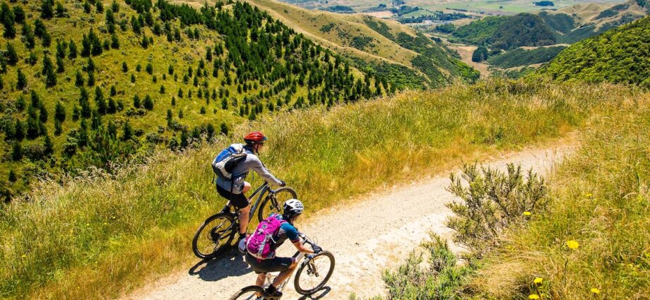 Bikepacking gear to get started in 2025