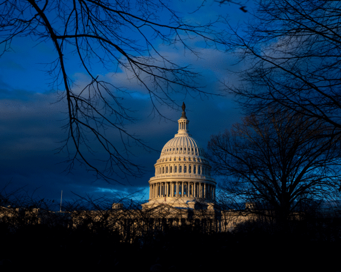 Save Act would require all Americans prove citizenship when registering to vote