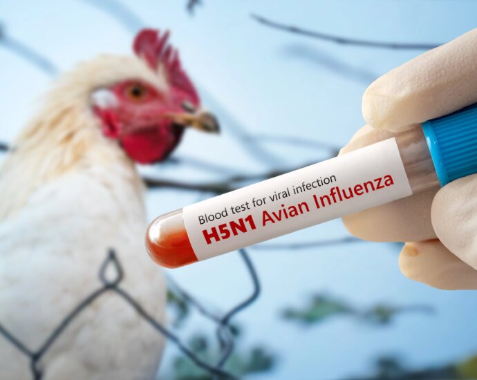 Worker Strike Forces California Lab to Send Bird Flu Tests Out of State