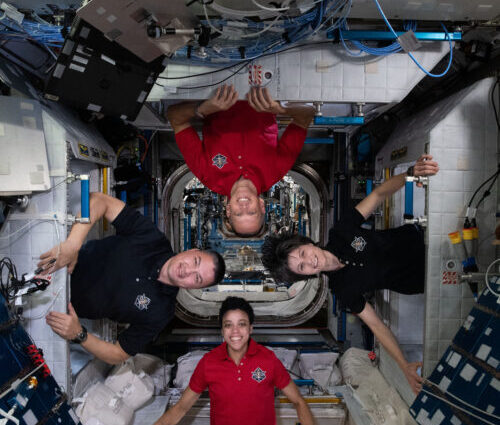 An small microbial ecosystem has formed on the International Space Station