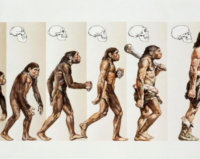 five-reasons-why-esg-and-wokeism-are-taking-a-beating